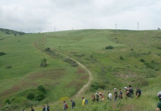  En línea a lo largo de la ruta 